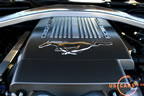 2010_mustang_detail_e8.jpg (107kb)