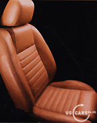 2010 / 2011 / 2012 Mustang Innen Farbe Saddle Leder