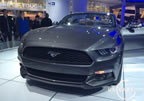 15_mustang_detroit_b4.jpg (187kb)