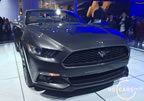 15_mustang_detroit_b7.jpg (168kb)