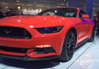 15_mustang_detroit_d7.jpg (186kb)