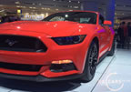15_mustang_detroit_d8.jpg (177kb)