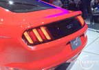 15_mustang_detroit_g6.jpg (169kb)