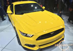 15_mustang_detroit_g8.jpg (151kb)