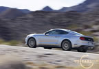 2015_mustang_ingot_d5.jpg (132kb)