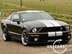 shelby_i_9.jpg (65kb)