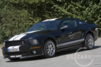 shelby_b_5.jpg (152kb)